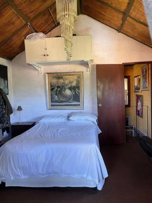 Casa Marys En El Tesoro De La Barra Villa Punta del Este Exteriör bild